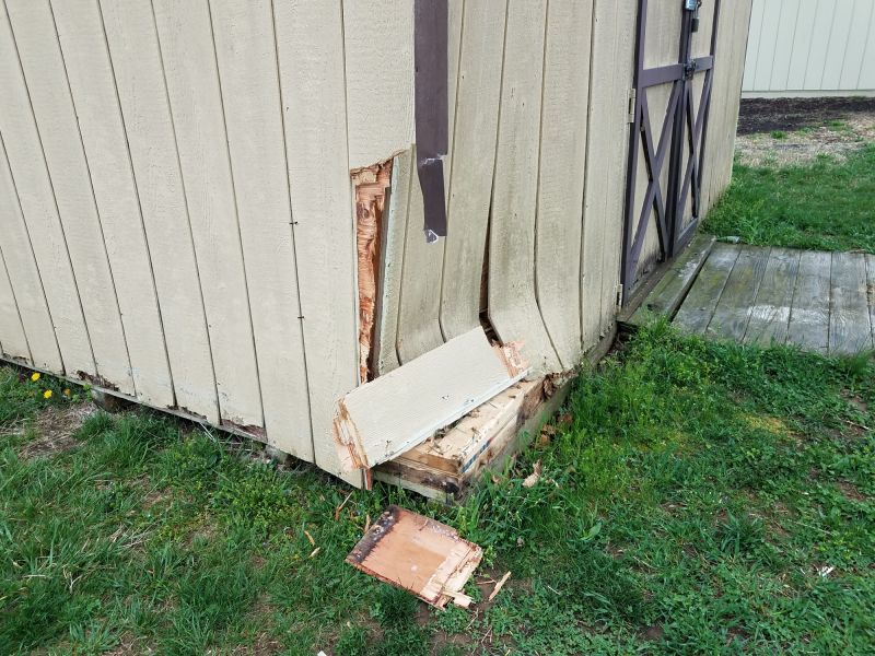 Shed Door Repair