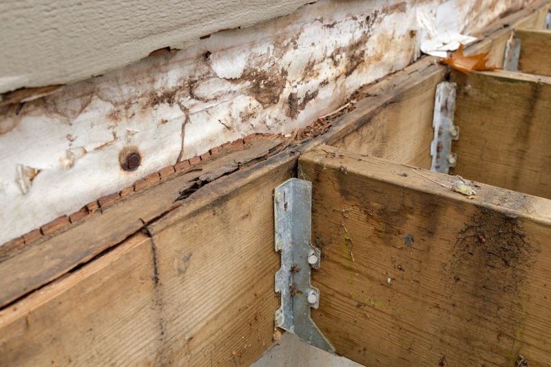 Wood Rot And Moisture Damage In Outdoor Structures